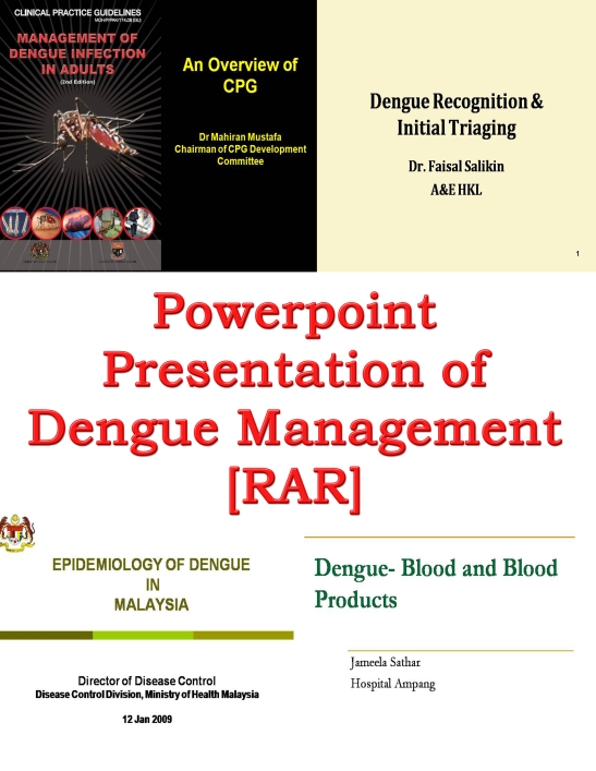 dengue-copy